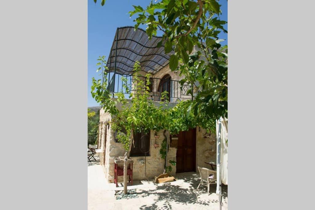 Petite Olive House Villa Szitía Kültér fotó